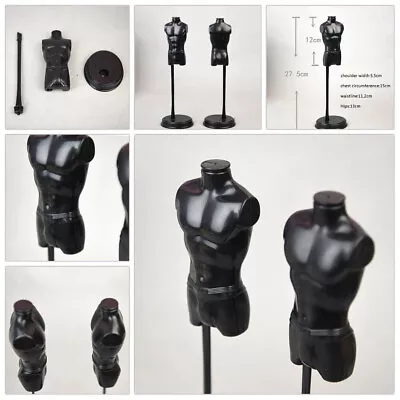 1/6 Mini Male Torso Body Tailor Doll Mannequin Clothing Display Model Dollhouse • $6.62