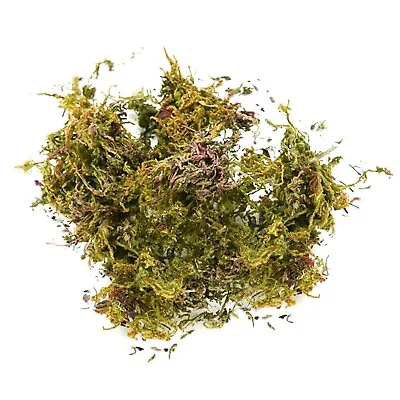 Fake Moss Artificial Moss For Potted Plants Greenery Moss  Home Decor Fairy • $0.99