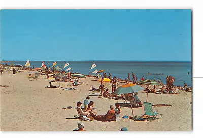 Chatham Cape Cod Massachusetts MA Vintage Postcard Hardings Beach • $5.98