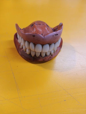 $29.99 • Buy Vintage Set Of Dentures Uppers And Lowers Teeth Old Antique