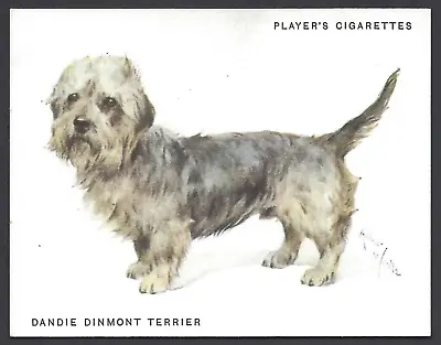 £2.50 • Buy Player - Dogs By Wardle (full Length, Large) - #19 Dandie Dinmont Terrier