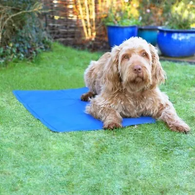 Instant Cooling Mats Pads - Small Medium Large For Pet Dog Cat Rabbit Rosewood • £14.95