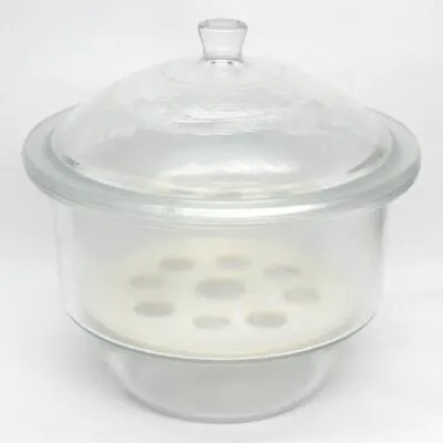 $67.29 • Buy NEW Glass Desiccator Jar Dryer 12  Non-vacuum Lab Glass With Porcelain Plate