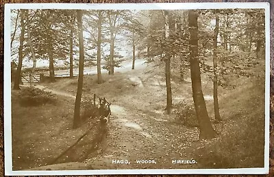 Rppc View In Haggs Woods Mirfield Kirklees Yorkshire Posted 1914 Mirfield • £2