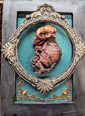 Mummified Piglet Taxidermy Fetal Pig In Frame Oddities Art Ooak Handmade • $115