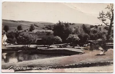 1940s RPPC - State Fish Hatchery Lewistown Montana • $5