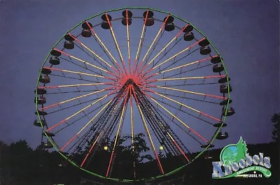 Elysburg Pennsylvania Knoebels Amusement Park Resort Ferry Wheel 6x4 Postcard E8 • $65