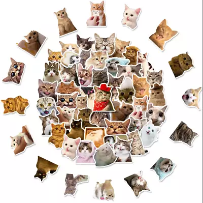 50PCS Cat Stickers Cute Pet Cat Online Celebrity Cat Expression Meme Pack • $2.03