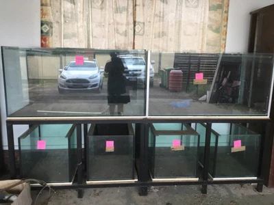 $650 • Buy Fish Tanks - Breeding Set Up 12 Tanks
