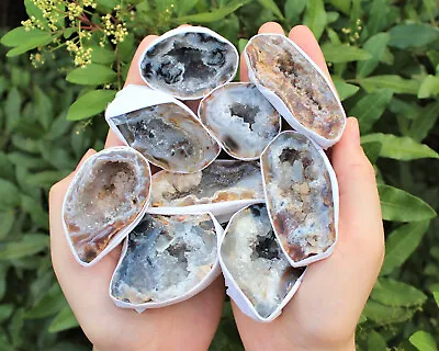 Bulk Large Oco Agate Geodes 1/4 Lb Lot Natural Crystal Druzy Halves (4 Oz) • $10.95