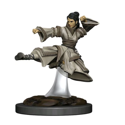 $19.95 • Buy Dungeons & Dragons Premium Female Human Monk Pre-Painted Figure