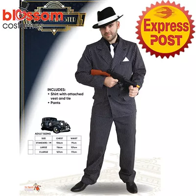 CA2871 1920 Pinstripes Gangster Peaky Blinders Shelby Mafia Mens Gatsby Costume • $32.35