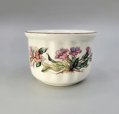 Villeroy & Boch Luxembourg Pulmonaria Officinialis Botanical Porcelain Ramekin  • $30
