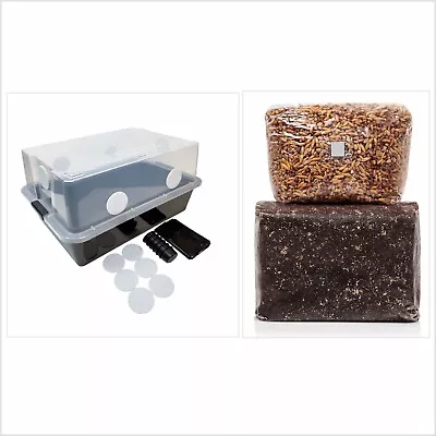 1 Monotub & 15lbs Exotic Substrate + 5lbs Whole Oats Full Mushroom Grow Kit (L) • $159.99