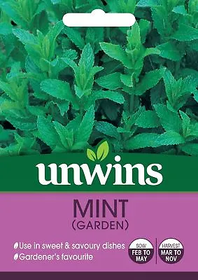 Unwins Pictorial Packet - Herb Mint (Garden) - 1300 Seeds • £3.79