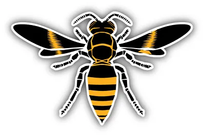 Wasp Insect Animal Car Bumper Sticker Decal • $2.75