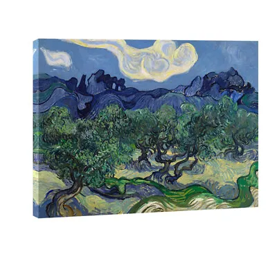 Canvas Print Van Gogh Painting Repro Picture Wall Art Home Decor Olive Trees • $32.99