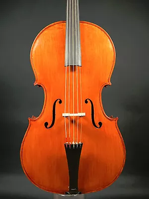 Reghino 5Saiter Cello Piccolo Meisterarbeit From Ro • $4756.17