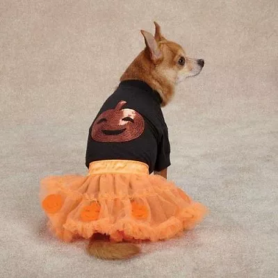 Orange Pumpkin Dog Costume By Zack & Zoey Polyester Nylon Smaller Sizes Unisex • $13.29