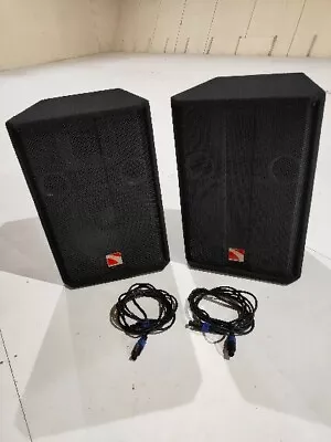 Pair Of 500w Passive Speakers • £150