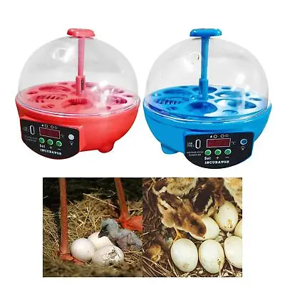 USB 6 Eggs Incubator Manual With Light Chick Incubator LED Display Small Egg • £24.40