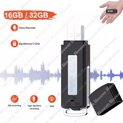 Mini Voice Activated Recorder Listening Device Audio Sound Dictaphone USB Disk • $16.87