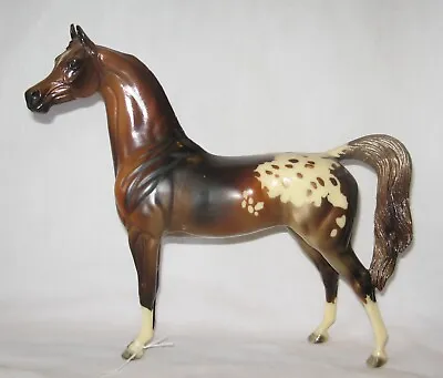 Stone Model Horse Arabian Stallion Glossy Appaloosa Pearly Bay • $166.92