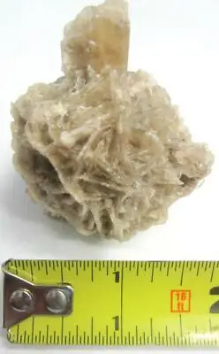 $15 • Buy Desert Rose Stone Selenite Natural Crystal 79.7 Grams Large Sized Usa Specimen