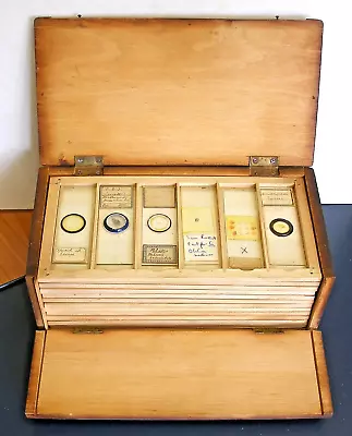 Collection Of 72 Early MICROSCOPE SLIDES In A PINE DISPLAY CASE • $38.23