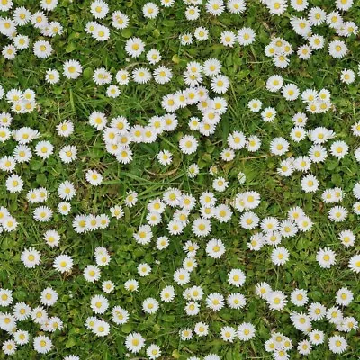 100% Cotton Digital Fabric Daisy Chain Floral Flowers 140cm Wide • £1.50