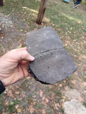 $20 • Buy Fossilized Giant Turtle Shell Piece #2