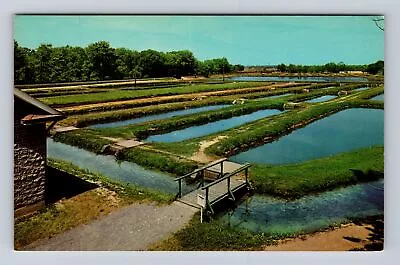 Huntsdale PA-Pennsylvania State's Fish Hatchery Antique Vintage Postcard • $7.99