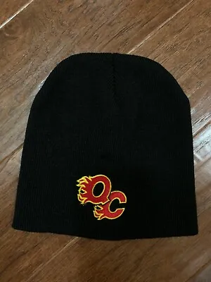 Quad City Flames AHL Hockey Winter Knit Beanie Hat Cap (Mallards) Moline IL • $12.95