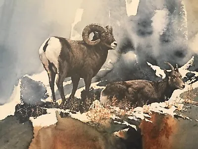 Morten Solberg Rare A/p “bighorn Sheep“ 20/56 Limited Edition Mint Lithograph! • $375
