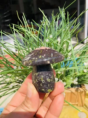 Miscellaneous Stone Mushroom 110g • $2.30