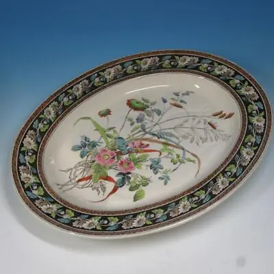 Spode China - Aesthetic Daisy 1387 - Rare Well Tree Meat Platter - 15 By 12 Inch • $100