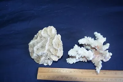 Dry Coral - Natural Coral - Unique 2 Pc Lot Branch Brain Lot C • $26