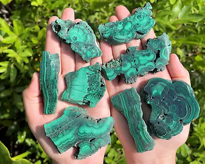 Natural Malachite Slice Polished Malachite Crystal Slab Specimens - Choose Size • $13.75