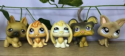 Littlest Pet Shop Bundle #12 • £15