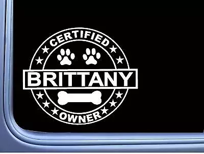 Certified Brittany Spaniel L280 Dog Sticker 6  Decal • $4.24