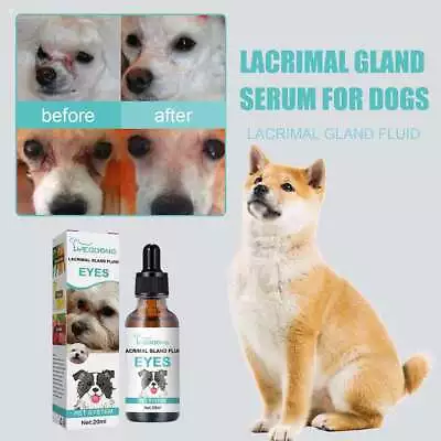 Pet Eye Drops For Conjunctivitis Caused By Allergies Foreign Or 30ml Bodies E5K1 • $6.25