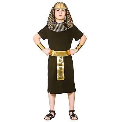 £10.59 • Buy Wicked Costumes Ancient Egyptian Pharoah King Robe Boys Childs Fancy Dress New