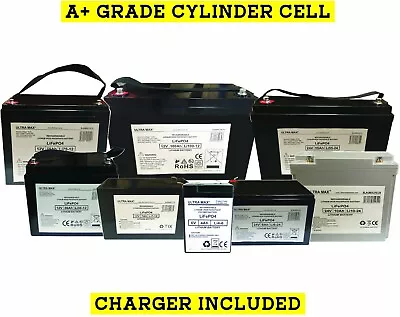 £69.19 • Buy Ultramax Lithium Iron Phosphate LiFePO4 / Li-PO4 / LFP Battery With Built-In BMS