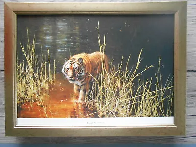 David Shepherd Print 'Jungle Gentleman' Tiger  FRAMED • £23