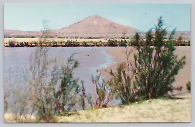 Postcard Picacho Peak Los Cruces New Mexico • $5.85