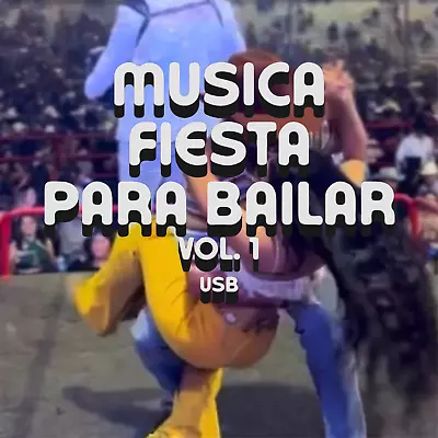 1500 Canciones USB Musica Fiesta Para Bailar Con Musica Party Jaripeo 3.0 • $29.95