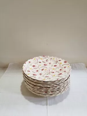 Copeland Spode Rosebud Chintz Salad Plates - Set Of 12 • $49.99