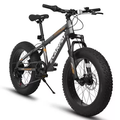 A20316 20 Inch Fat Tire Bike Adult/Youth Full Shimano 7 Speed Mountain Bike Dua • $243.39