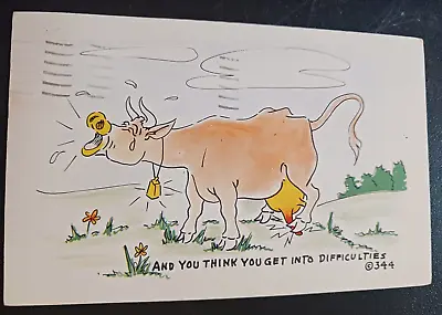 1953 Postcard Cow Stepping On Udder You Think You Get Into Difficulties Noble • £7.74