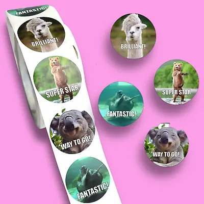 £1.80 • Buy Animal Meme Kids Reward Stickers Teachers Parents Children Praise School Hero